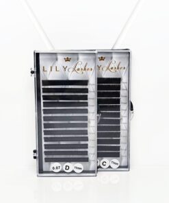 LILY Lashes blakstienos easy fan
