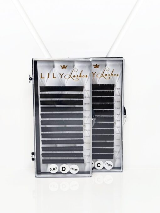 LILY Lashes VOLUME Easy Fan blakstienos