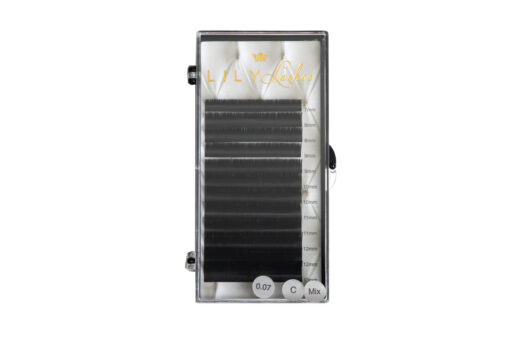 LILY Lashes VOLUME Easy Fan blakstienos