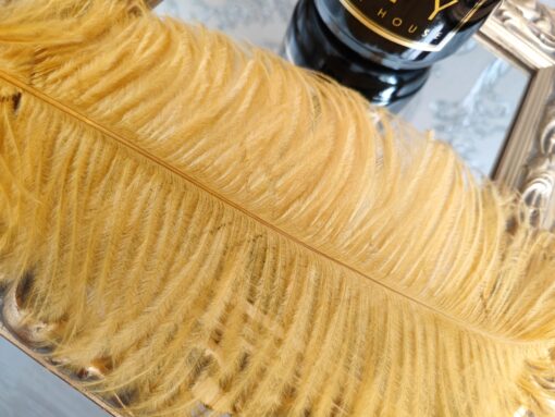 Dekoratyvinės plunksnos aukso/garstyčių spalvos