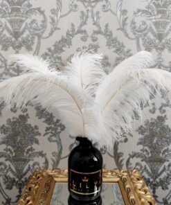 Dekoratyvinės baltos plunksnos