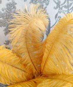 stručio plunksnos aiški garstyčių spalvos