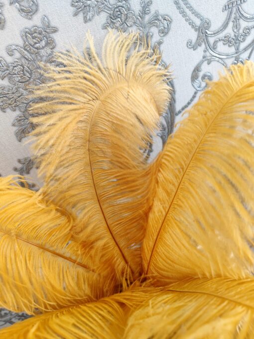 Dekoratyvinės plunksnos aukso/garstyčių spalvos