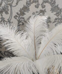 stručio plunksnos pieno baltumo spalvos