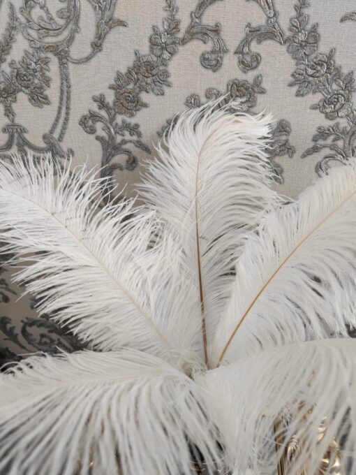 Dekoratyvinės baltos plunksnos