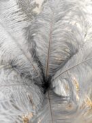 Dekoratyvinės plunksnos pilkos spalvos