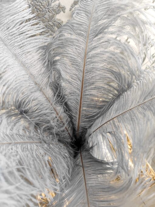 Dekoratyvinės plunksnos pilkos spalvos