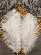 Dekoratyvinės stručio plunksnos baltos spalvos 50-55cm