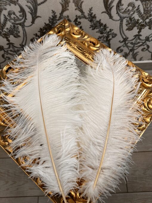 Dekoratyvinės stručio plunksnos baltos spalvos 50-55cm