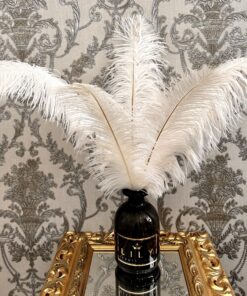 Dekoratyvinės stručio plunksnos baltos spalvos 50-55cm