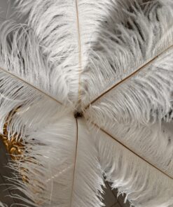 natūralios baltos stručio plunksnos