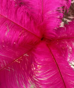 rožinės stručio plunksnos