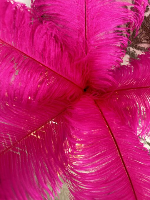 Dekoratyvinės stručio plunksnos fuksijos spalvos 50-55cm