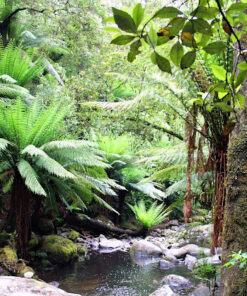 Kvapas difuzoriams Earth Breath 500ml