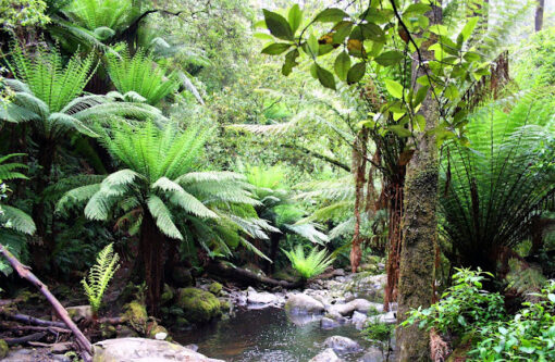 Kvapas difuzoriams Earth Breath 500ml